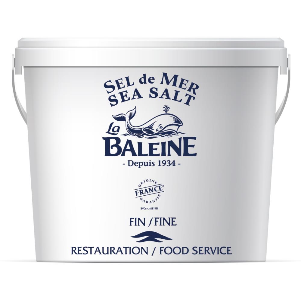 Sel Fin Baleine Seau 5KG